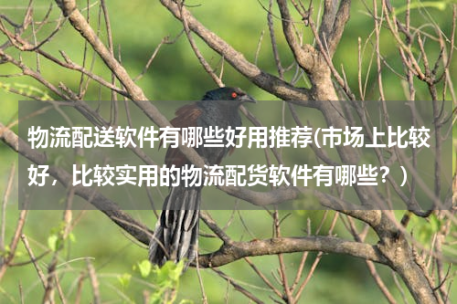 物流配送软件有哪些好用推荐(市场上比较好，比较实用的物流配货软件有哪些？)