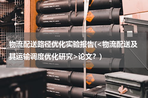 物流配送路径优化实验报告(<物流配送及其运输调度优化研究>论文？)