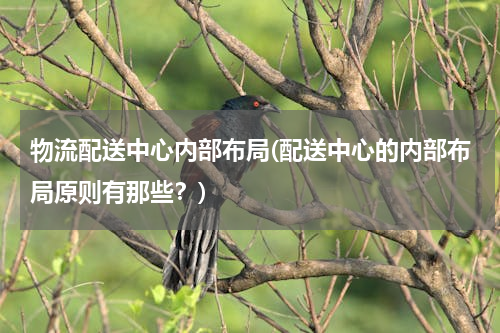 物流配送中心内部布局(配送中心的内部布局原则有那些？)