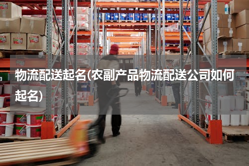 物流配送起名(农副产品物流配送公司如何起名)