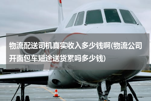 物流配送司机真实收入多少钱啊(物流公司开面包车短途送货累吗多少钱)