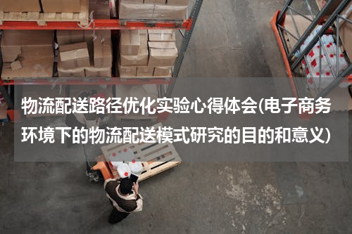 物流配送路径优化实验心得体会(电子商务环境下的物流配送模式研究的目的和意义)
