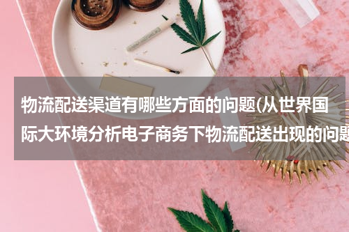 物流配送渠道有哪些方面的问题(从世界国际大环境分析电子商务下物流配送出现的问题)