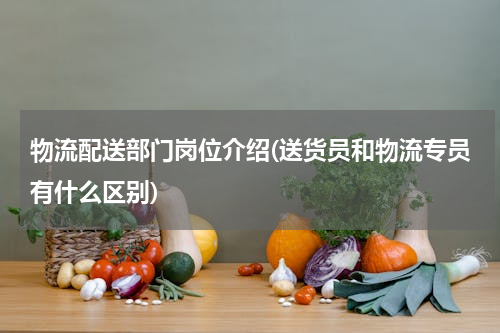 物流配送部门岗位介绍(送货员和物流专员有什么区别)
