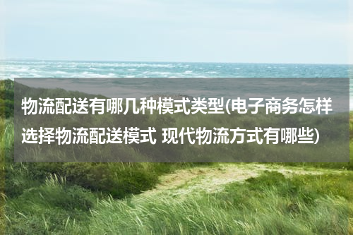 物流配送有哪几种模式类型(电子商务怎样选择物流配送模式 现代物流方式有哪些)