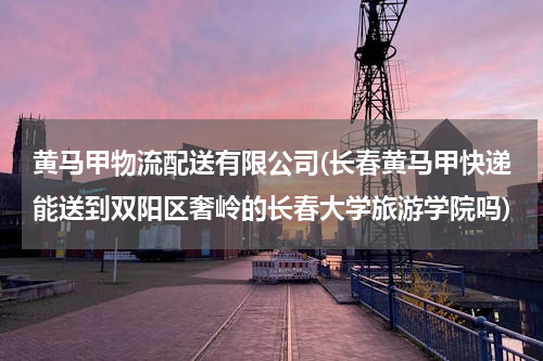 黄马甲物流配送有限公司(长春黄马甲快递能送到双阳区奢岭的长春大学旅游学院吗)