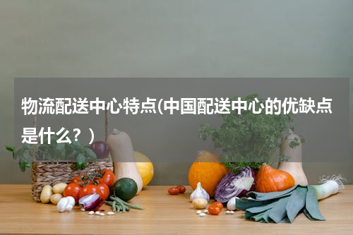物流配送中心特点(中国配送中心的优缺点是什么？)