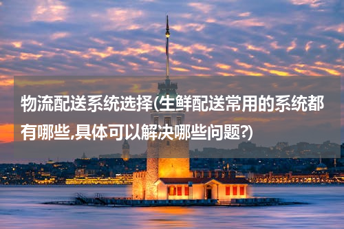 物流配送系统选择(生鲜配送常用的系统都有哪些,具体可以解决哪些问题?)