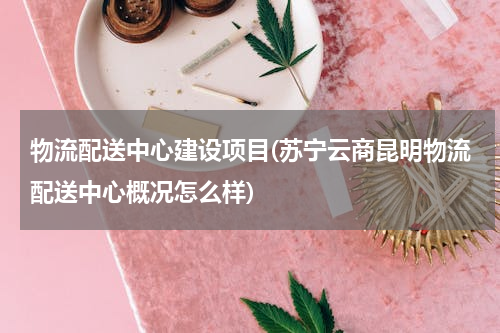 物流配送中心建设项目(苏宁云商昆明物流配送中心概况怎么样)