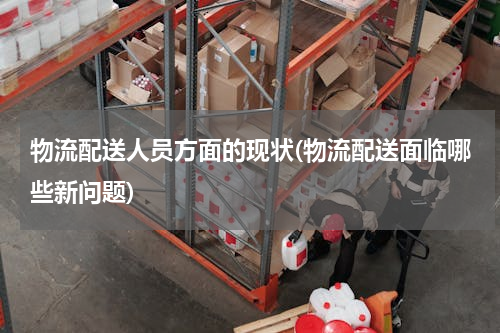 物流配送人员方面的现状(物流配送面临哪些新问题)
