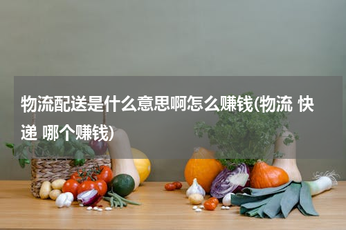 物流配送是什么意思啊怎么赚钱(物流 快递 哪个赚钱)