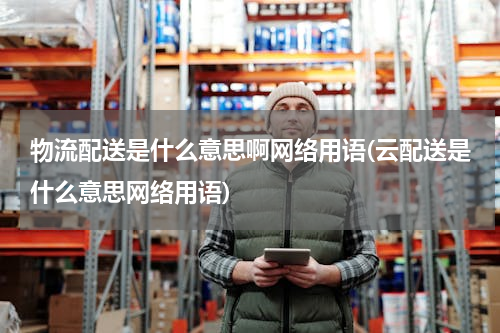 物流配送是什么意思啊网络用语(云配送是什么意思网络用语)