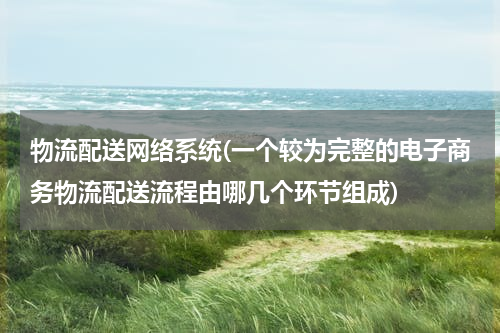 物流配送网络系统(一个较为完整的电子商务物流配送流程由哪几个环节组成)